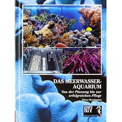 Das Meerwasseraquarium: Von der Planung bis zur erfolgreichen Pflege