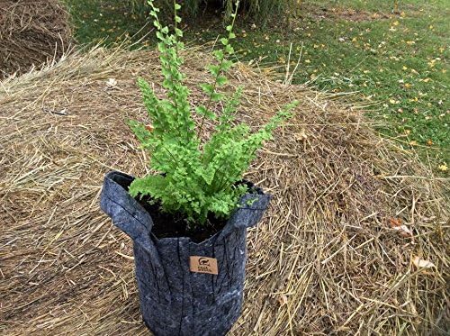 Root Pouch Grow Bags, 1 Gallon with Handles , Grey 3-4 Year, Bundle of 10