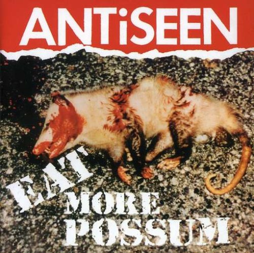 Antiseen Foto 5