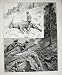 1886 Wapiti Hunting North America Shooting Men Gun