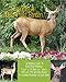 Creating A Deer Proof Garden