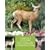 Creating A Deer Proof Garden