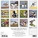 Waterfowl 2017 Wall Calendar
