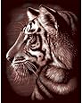 Reeves Tiger Scraperfoil Artwork, Gold