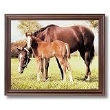 Horse Mare Colt Filly Kids Room Animal Home Decor Wall Picture Cherry Framed Art Print