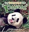 Endangered Pandas