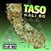 Kali OG (The Bolivian Marching Affair Remix)