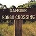 Bossa Nova Beatniks, Danger Bongo Crossing, 発売中