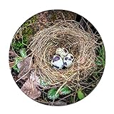 [FOR U DESIGNS]個性的な柄　円形　マット 滑り止め付き 保護マット mat　直径約60cm 鳥の巣柄3