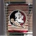 Florida State FSU Noles Chevron Garden Flag