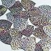 Shield Sequin 1.5