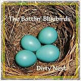 Dirty Nest