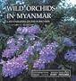 Wild Orchids in Myanmar Vol. 1: Last Paradise of Wild Orchids (Wild Orchids in Myanmar: Last Paradise of Wild Orchids)