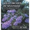Wild Orchids in Myanmar Vol. 1: Last Paradise of Wild Orchids (Wild Orchids in Myanmar: Last Paradise of Wild Orchids)