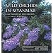 Wild Orchids in Myanmar Vol. 1: Last Paradise of Wild Orchids (Wild Orchids in Myanmar: Last Paradise of Wild Orchids)