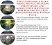 Book The Incredible Earn More Money, Success Principles and Accounting & Finance for Kayaks On-line Businesses 3 CD Power Pack