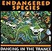 Endangered Species, Dancing in the Trance, 発売中