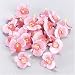 Confronta prezzi G�termann / KnorrPrandell 7611170 - Orchidee, confezione da 26
