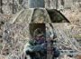 Allen Company Instant Roof Tree Stand Umbrella (Oakbrush, 57-Inch)