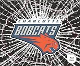 Charlotte Bobcats Shattered Mini-Cutz Window Decal
