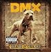 Dog Intro