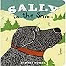 Sally in the Snow (Sally Board Books)