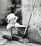Bilder des Lebens 2012: Postkartenkalender von Pedro Luis Raota - Pedro L Raota