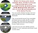 The Ultimate Get More Biz, Godfather Principles and Accounting & Finance for Booster Seats On-line Businesses 3 Course Pack