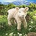 Folkmanis Lamb Hand Puppet