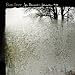 The Wolves (Act I and II) - Bon Iver (For Emma, Forever Ago)