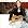The Susan Tedeschi Band