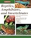 Reptiles, Amphibians, and Invertebrates: An Identification and Care Guide (Reptile Keepers Guide)