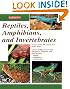 Reptiles, Amphibians, and Invertebrates: An Identification and Care Guide (Reptile Keepers Guide)