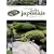 Le guide pratique du jardin japonais