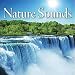 Nature Sounds - Thunderstorms, Heavy Rain Drops to