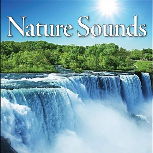 Beethoven's Fur Elise with Nature Sounds, Ocean Sea Winds (Classical Music & Nature)