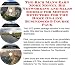 The Rich Man's Earn More Money, Biz Networking and Sales Models for Motion Detectors For The Home On-line Businesses 3 Course Pack