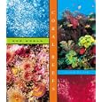 Coral Reefs (Our World) by Aaron Frisch
