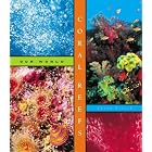 Click here to buy Coral Reefs (Our World) by  Aaron Frisch.