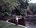 Boston Public Garden Photograph - Beautiful 16"x20" Photographic Print by Carol M. Highsmith