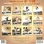 Skateboarding Go Huge 2004 Calendar