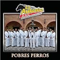 Pobres Perros