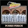 Pobres Perros
