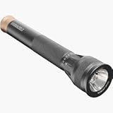Sporting Goods : Garrity Industries 2Cr123 Lith Daylite Flashlight KDAY3DSC04L