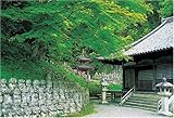 1000ピース 緑薫る念仏寺