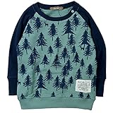 《H28年秋冬物》 nico hrat(ニコフラート) 製品洗い加工済み 30/10綿裏毛tree柄トレーナー 95cm/SA NO.B-260362