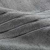 ® Platinum Collection 24-inch by 40-inch Bath Rug, Polished Platinum