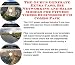 The Guru's Generate Extra Cash, Biz Networking and Sales Models for Fitness Videos Businesses 3 CD Combo Pack