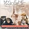 Les DVD � voir ABSOLUMENT!!!!