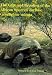 The Care and Breeding of the African Spurred Tortoise Geochelone Sulcata